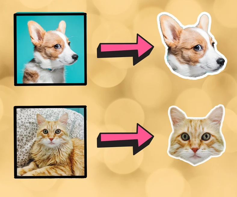 3x personalizovaná nálepka pre vášho domáceho miláčika