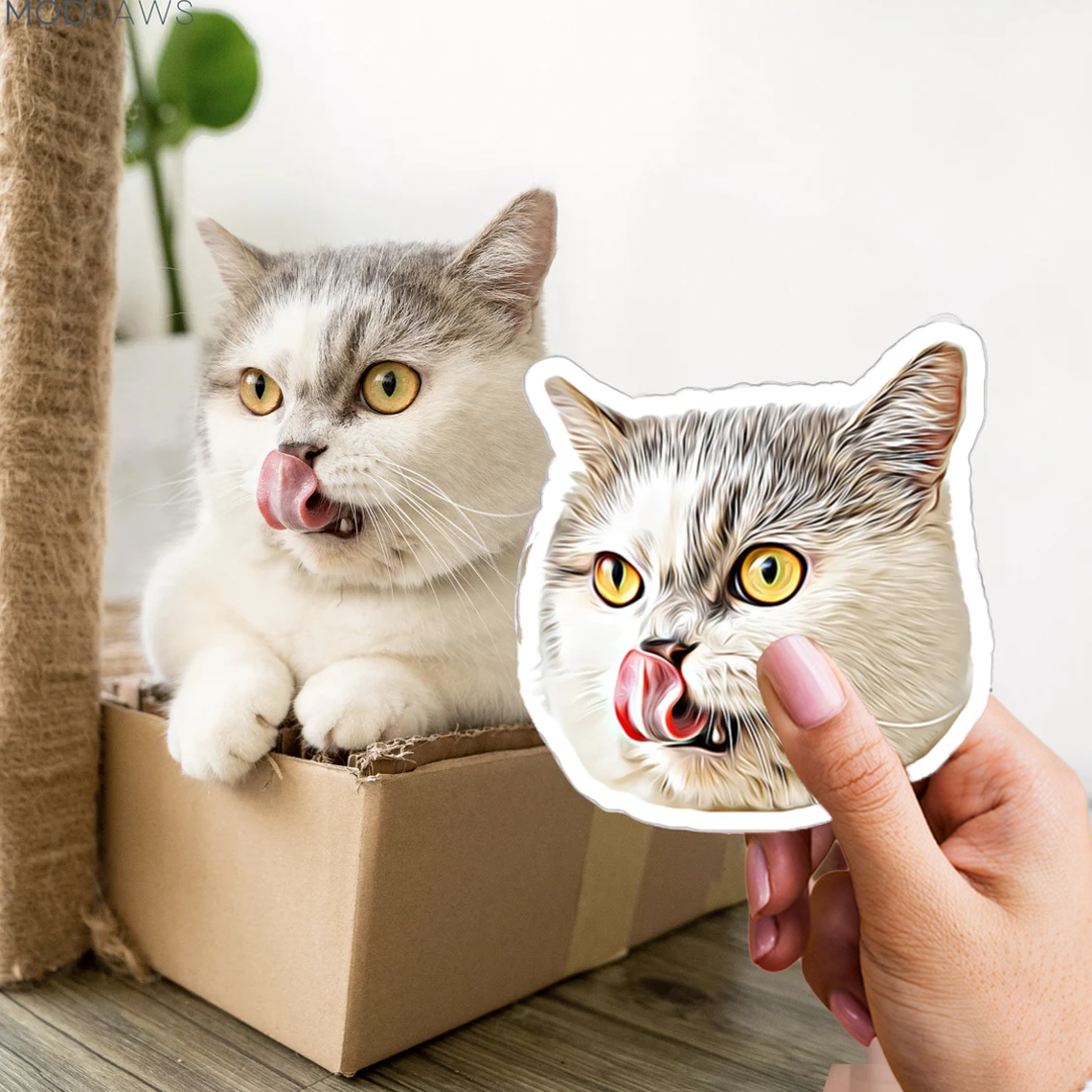 3x autocolante personalizado para o seu animal de estimação