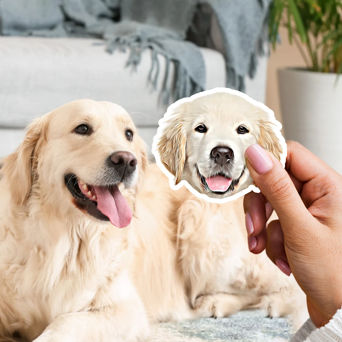 3x autocolante personalizado para o seu animal de estimação